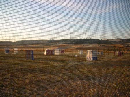 CAMPO 5
