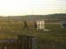 CAMPO 2