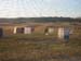 CAMPO 4