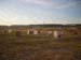 CAMPO 5